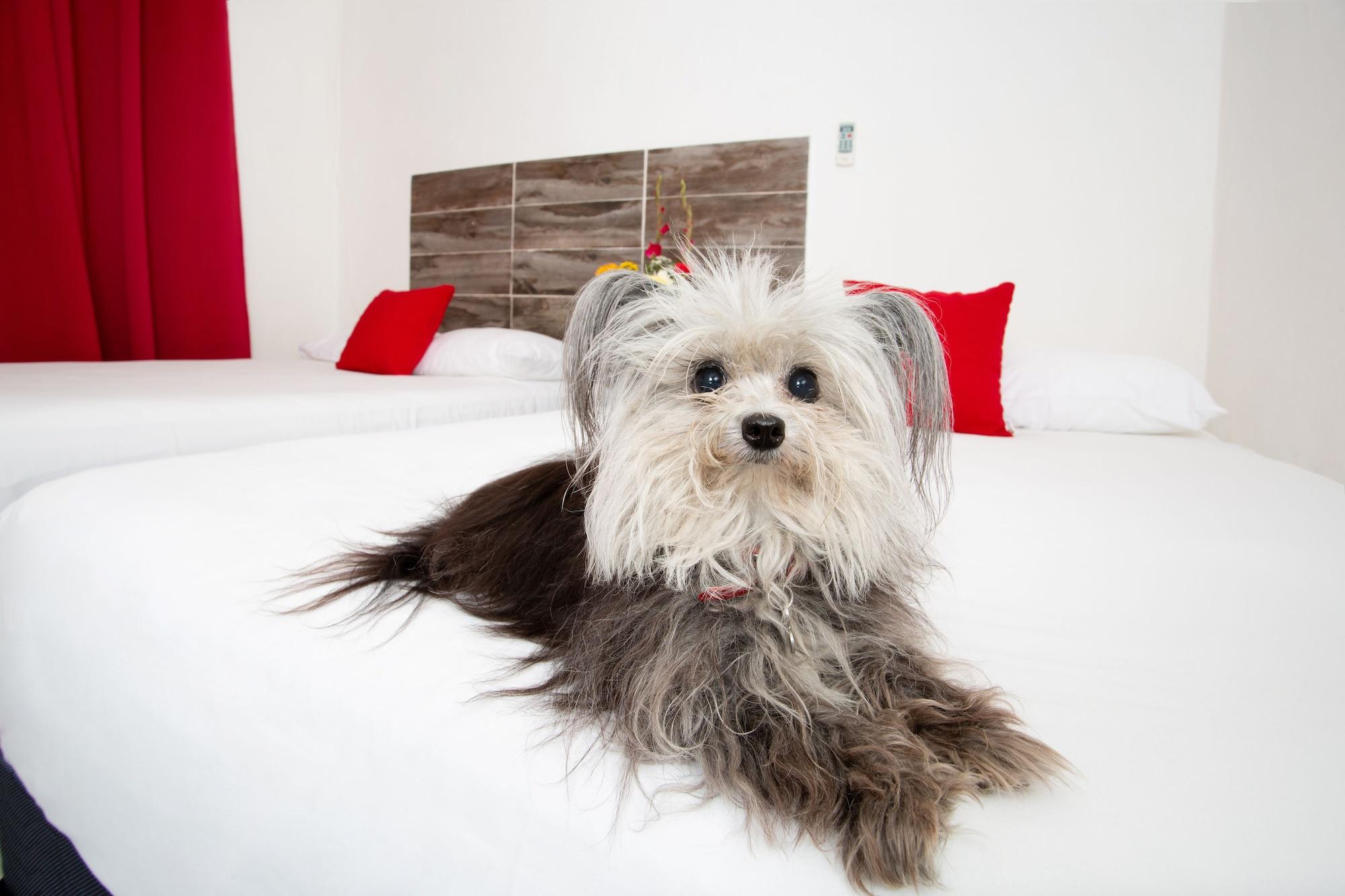 Suite 24 Aparthotel By Xperience Hotels Playa del Carmen Bagian luar foto